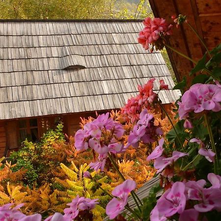 Woodenhouse Maramures Vişeu de Sus Εξωτερικό φωτογραφία