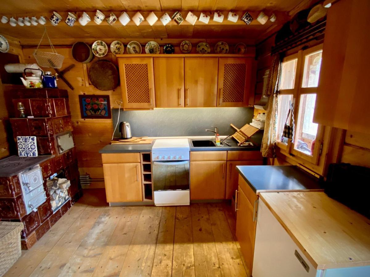 Woodenhouse Maramures Vişeu de Sus Εξωτερικό φωτογραφία
