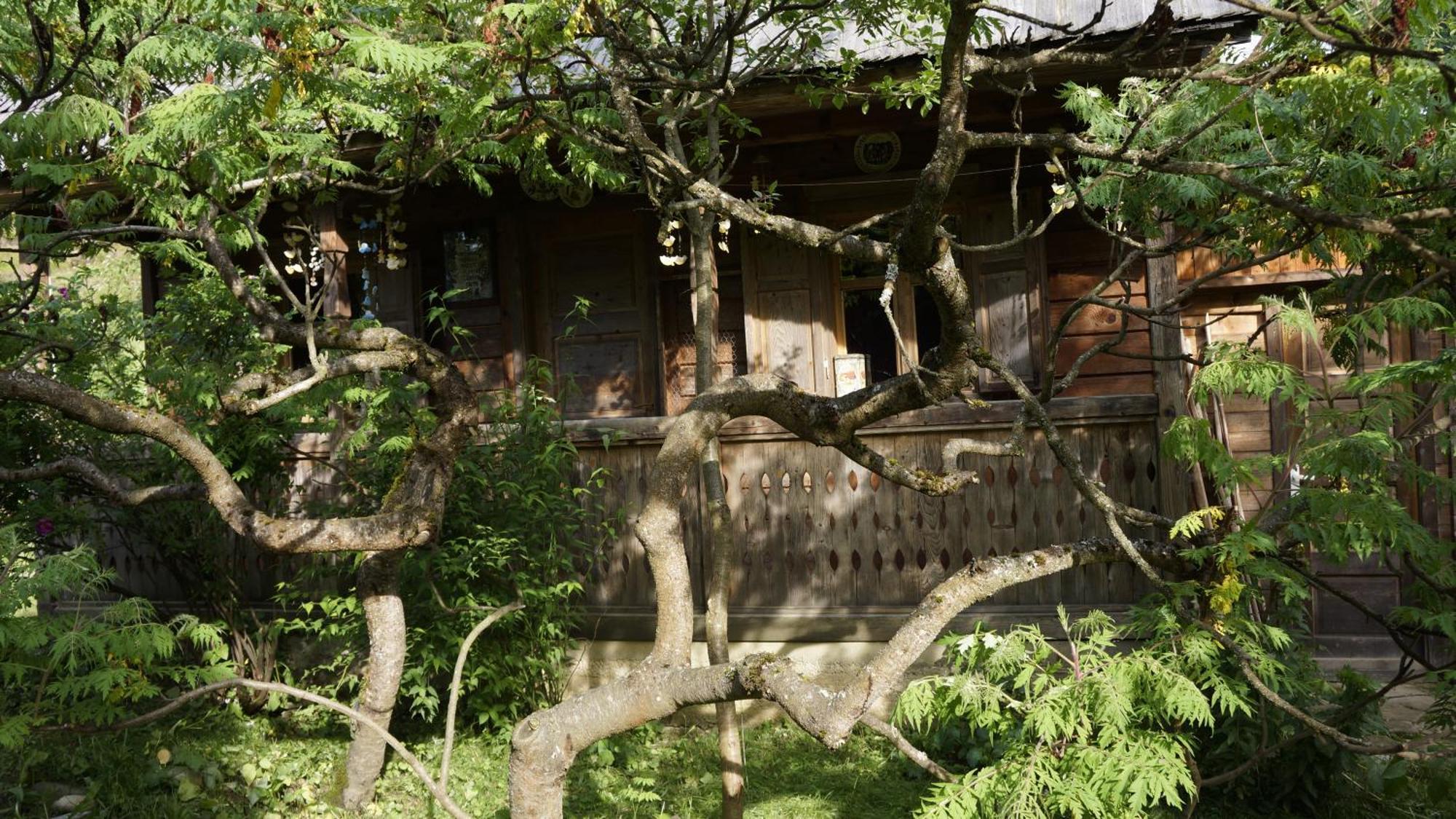 Woodenhouse Maramures Vişeu de Sus Εξωτερικό φωτογραφία