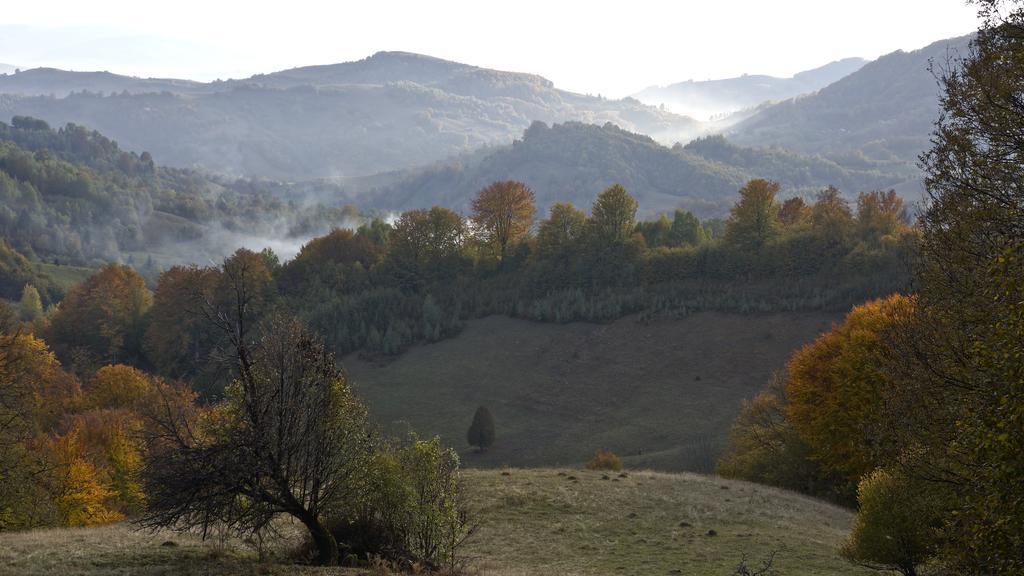 Woodenhouse Maramures Vişeu de Sus Εξωτερικό φωτογραφία