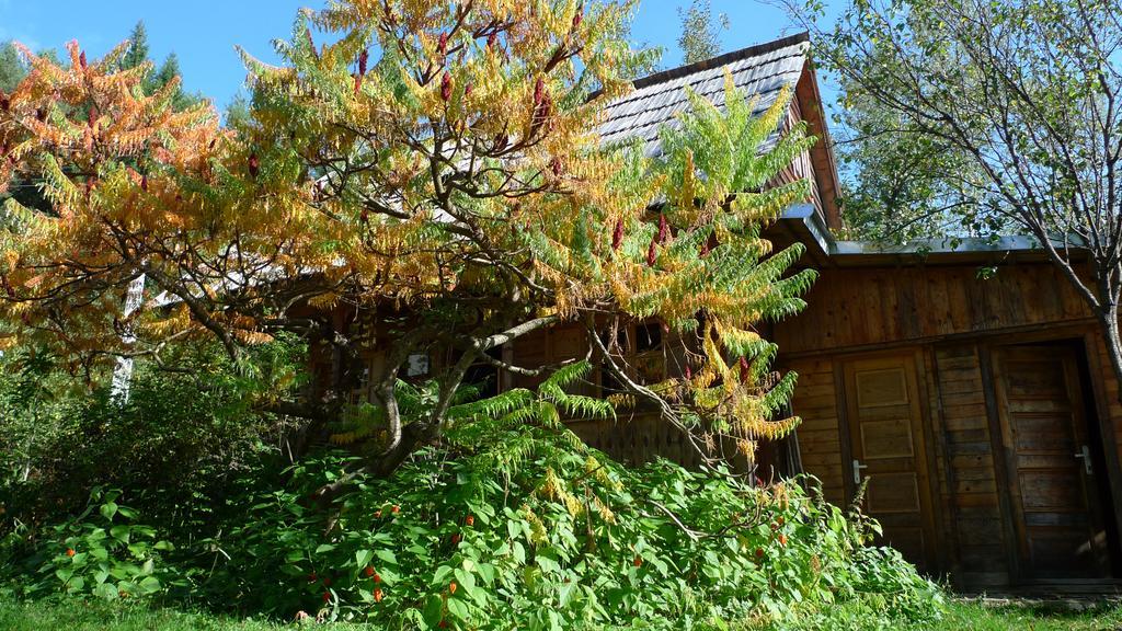 Woodenhouse Maramures Vişeu de Sus Εξωτερικό φωτογραφία