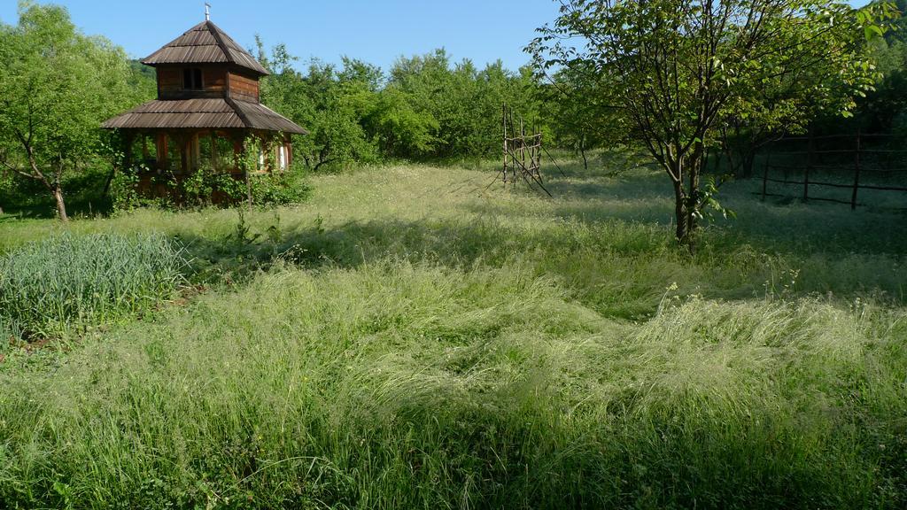 Woodenhouse Maramures Vişeu de Sus Εξωτερικό φωτογραφία