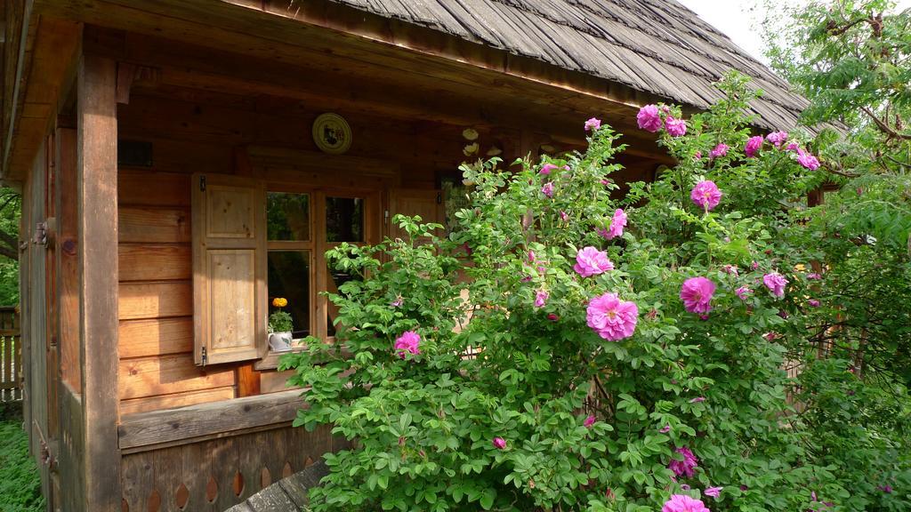Woodenhouse Maramures Vişeu de Sus Εξωτερικό φωτογραφία