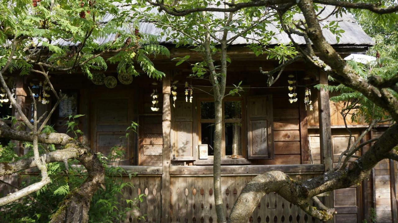 Woodenhouse Maramures Vişeu de Sus Εξωτερικό φωτογραφία